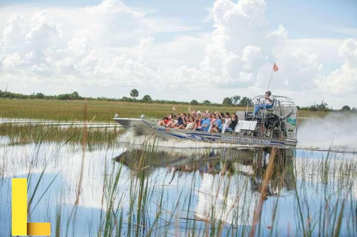 Explkoring The Everglades: Sawgrass Recreation Park Explkoring The Everglades: Sawgrass Recreation Park