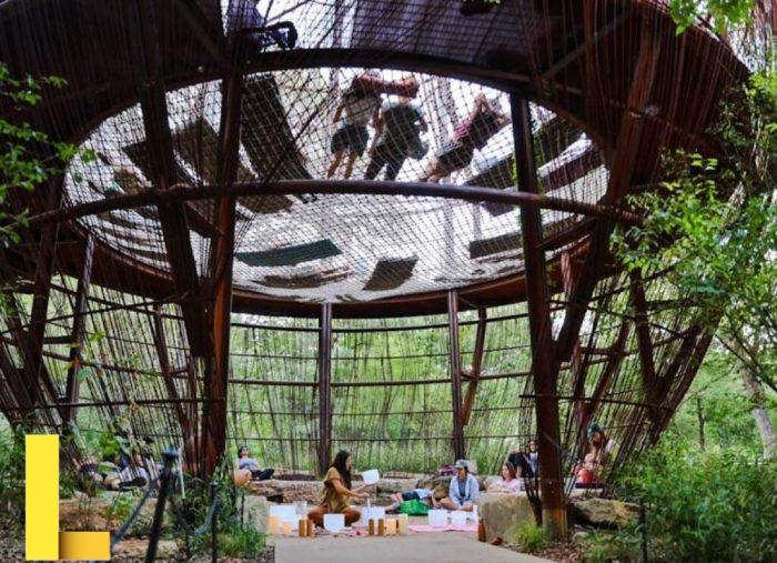 Romantic picnic spots in austin