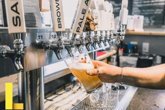 15 Fun Activities Near Me Right Now – Red White Adventures