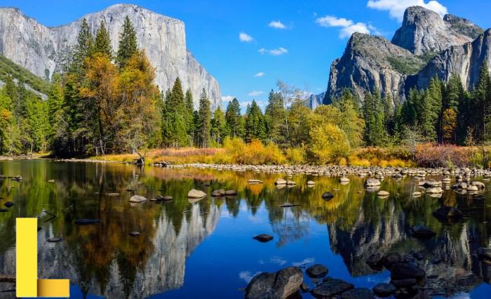 Parks and recreation certificate online