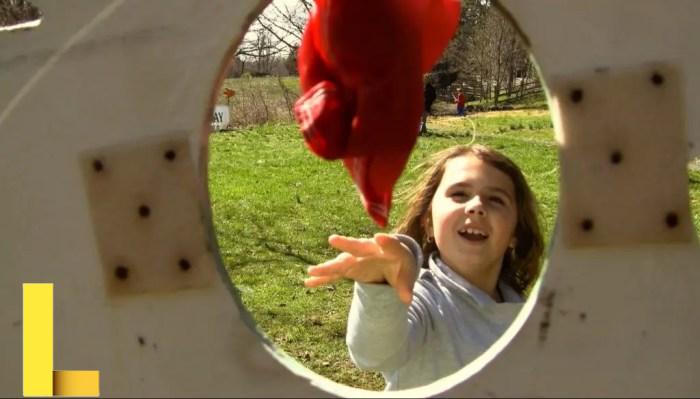 Recreation - Borough of Middletown, PA