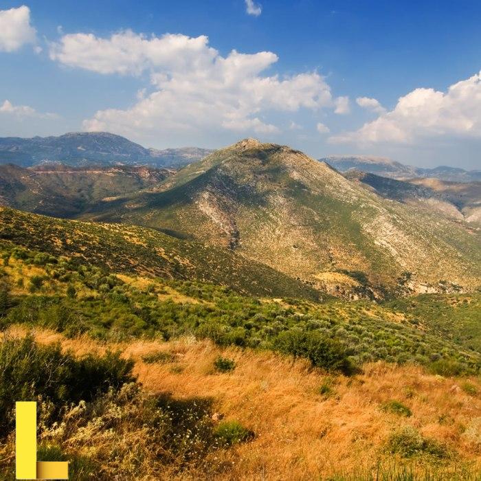 About Us - Arcadiahoney