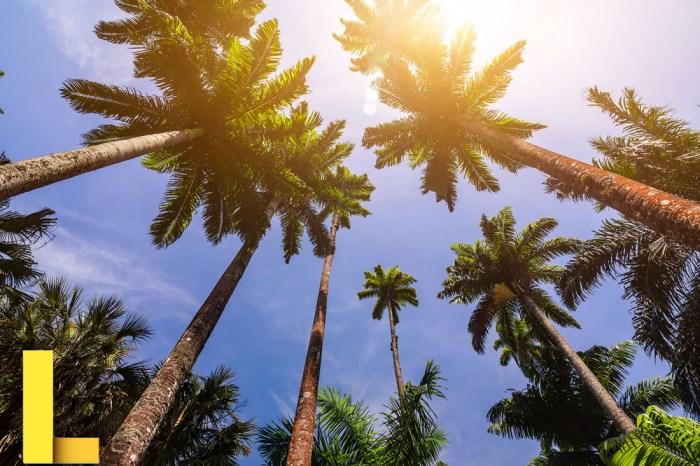 Palm desert recreation center