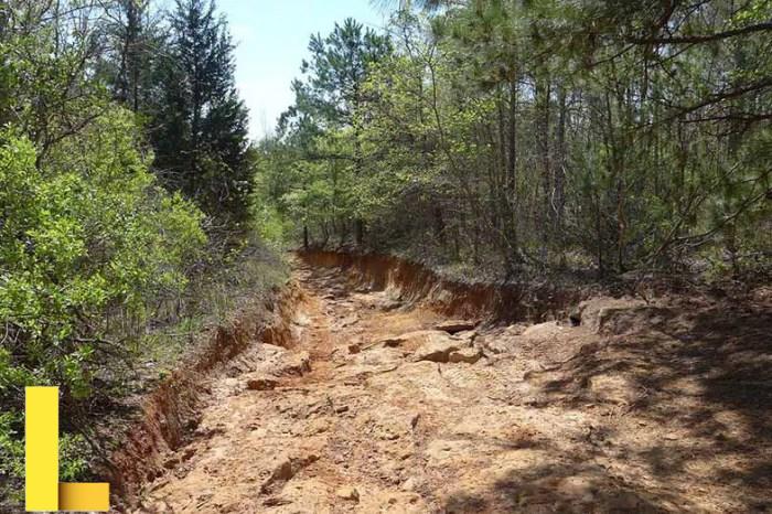 Barnwell Mountain Recreational Area (Glimer, TX): Review - Off-Roading Pro