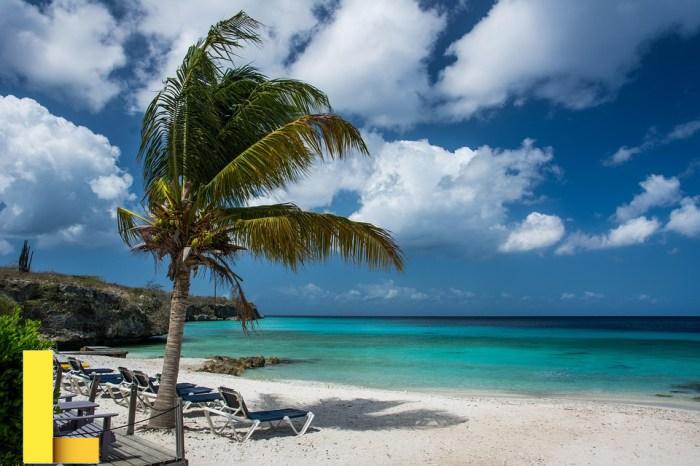 Summer dresses for picnic