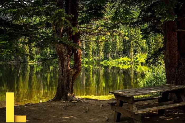 Bench, scenic, landscape, peaceful, relaxing, nature, water, lake | Pikist
