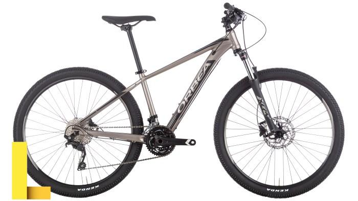 10 Best Cross-Country Mountain Bikes in 2020 (Review)