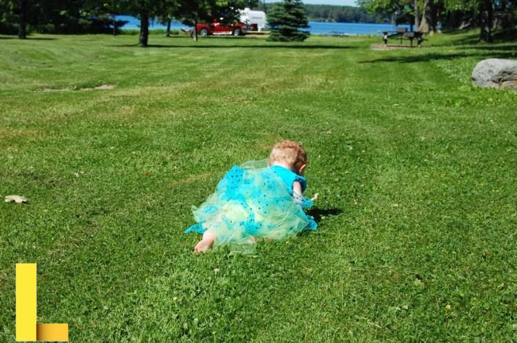 Pagan Parenting: Simple Picnic Birthday