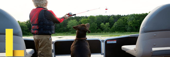 Vantage recreational finance