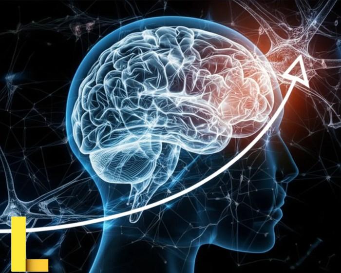 You need to purchase supplies for an employee appreciation picnic