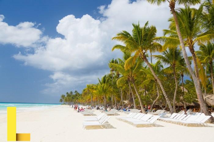 Caribbean Beach With Palms Free Stock Photo - Public Domain Pictures