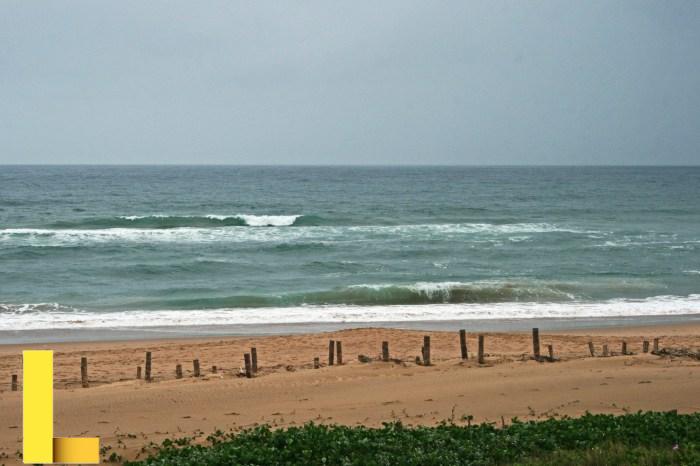 Beach picnic san diego