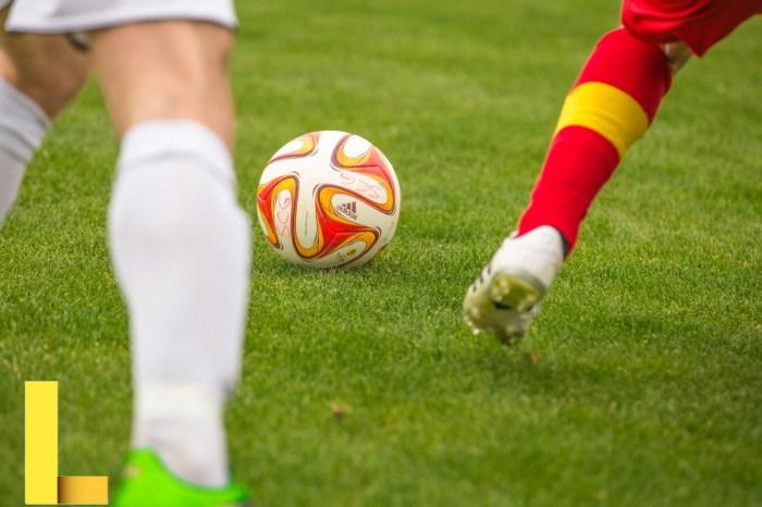 Free Images : grass, play, soccer, football pitch, american football ...