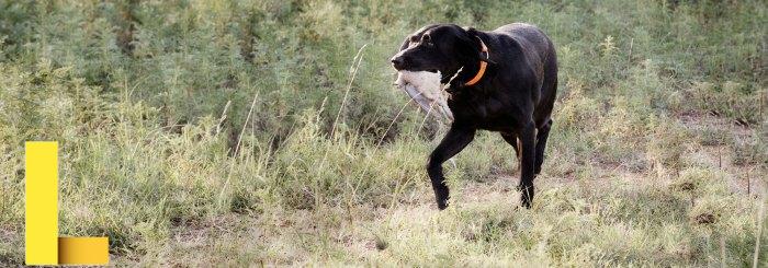 12 Benefits of Buying Recreational Land (2020) That May Surprise You