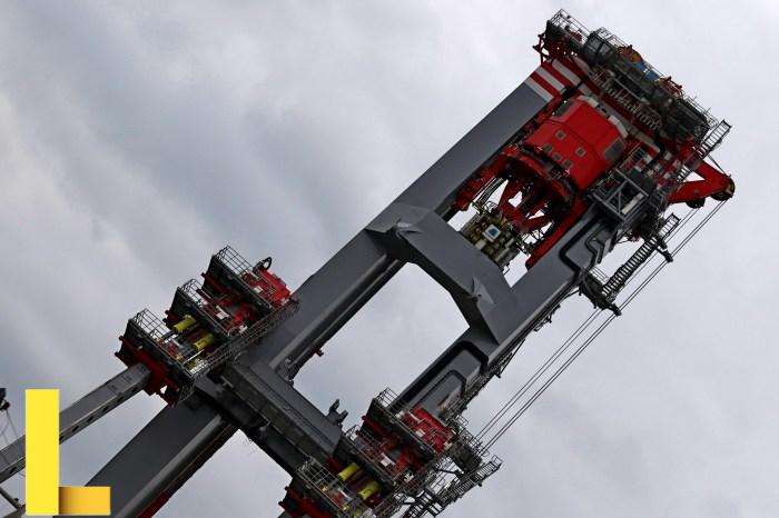 Heavy metal induced stress on wheat: phytotoxicity and microbiological ...