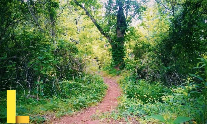 Kandersteg - Hidden Tunnel | The system probably dates back … | Flickr
