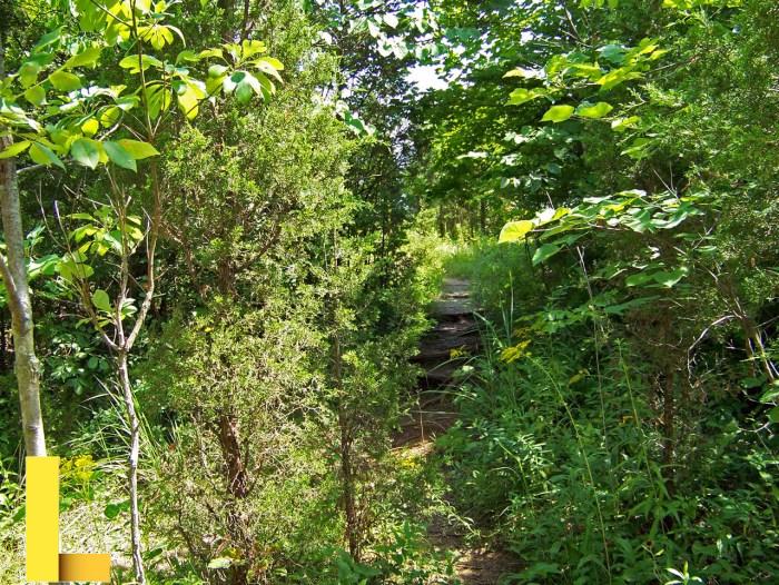 Hidden picnic spots san diego