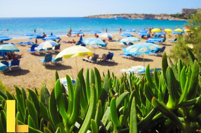 Holiday On Beach In Summer Free Stock Photo - Public Domain Pictures