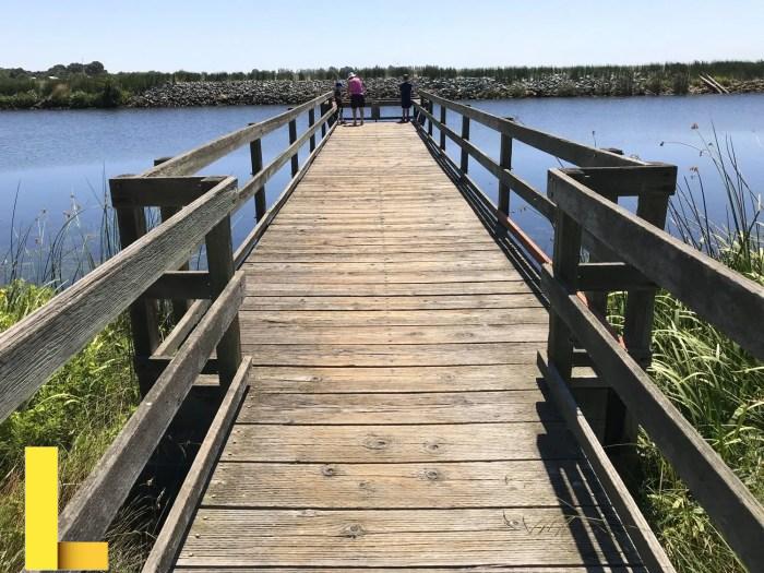 Brannan island state recreation area camping