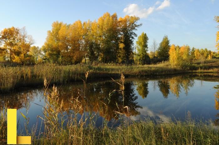 Indian Summer Free Stock Photo - Public Domain Pictures