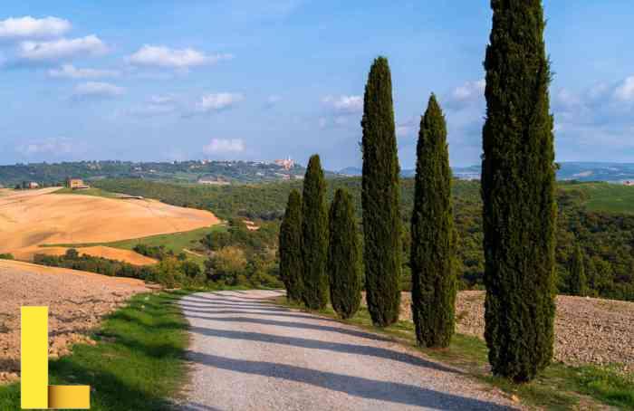 Cypress picnic tables