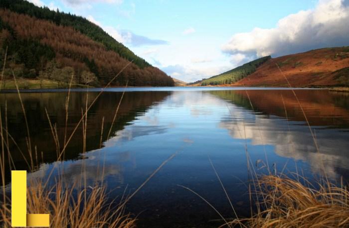 Lake View Free Stock Photo - Public Domain Pictures