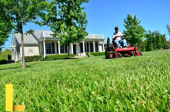 Lawn Care Maintenance · Free photo on Pixabay