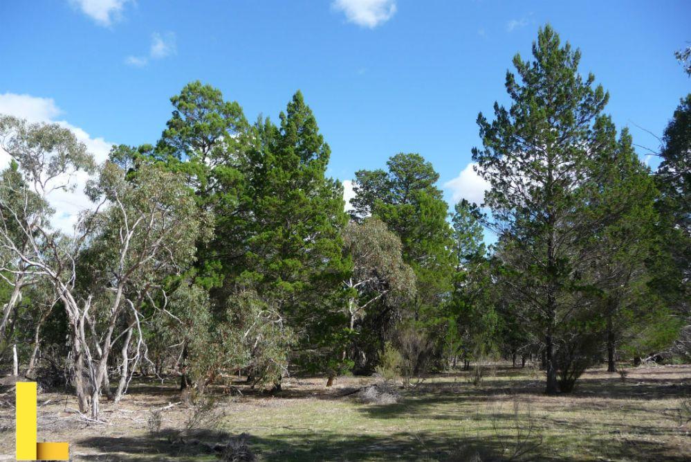 Parks and recreation signs