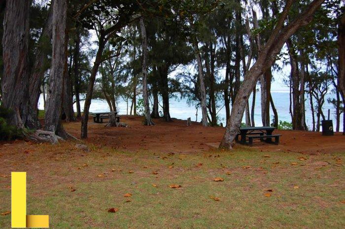 Malaekahana State Recreation Area Photos - Oahu Camping