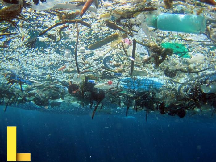 Plastic Water Bottles Free Stock Photo - Public Domain Pictures Plastic Water Bottles Free Stock Photo - Public Domain Pictures