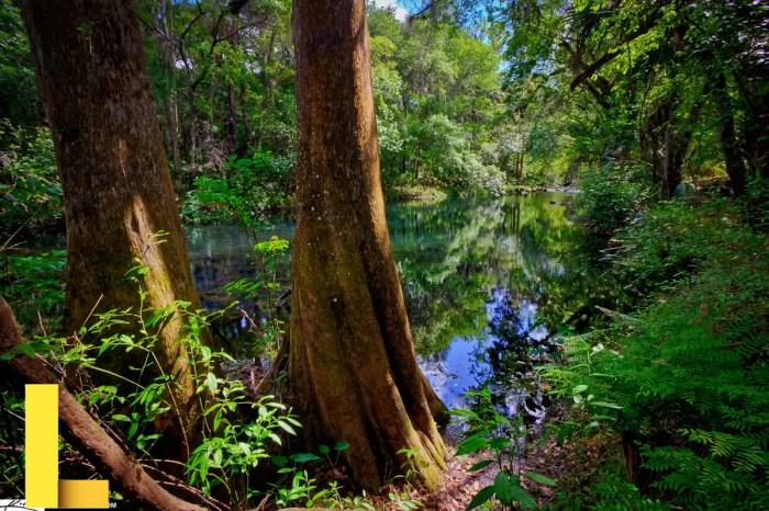 Hillsborough River Campground, Hillsborough River, FL: 2 Hipcamper ...