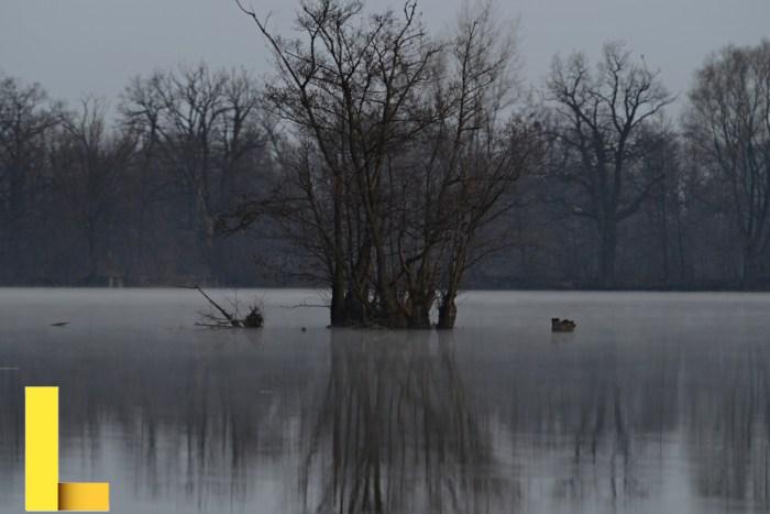 Island Free Stock Photo - Public Domain Pictures