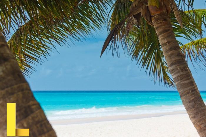 Beach picnic santa monica