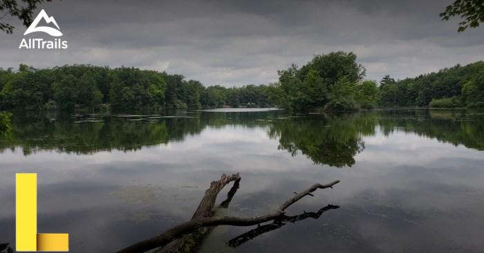 Metamora-Hadley Recreation Area, Metamora, MI - GPS, Campsites, Rates ...