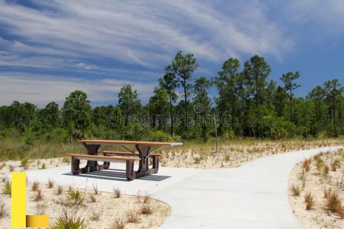Picnic Table in Big Cypress Stock Photo - Image of swamp, state: 40779842