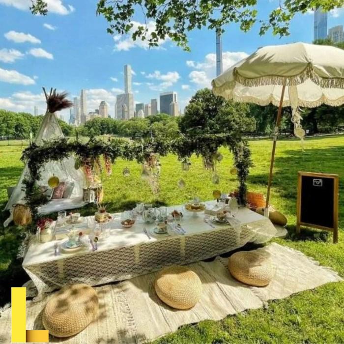 Luxury Picnic Experience - THE ABCVIP