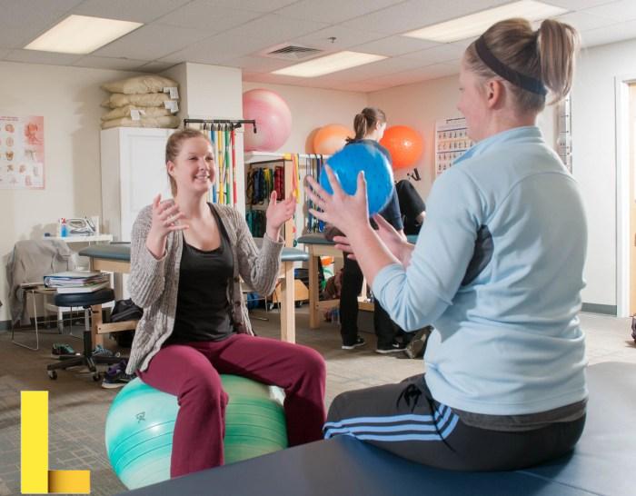 Physical Therapist Assistant as a Career