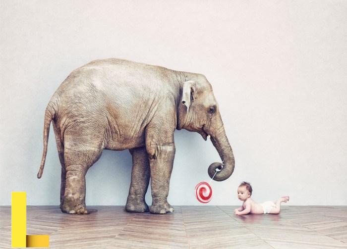 Big south fork national river and recreation area trails