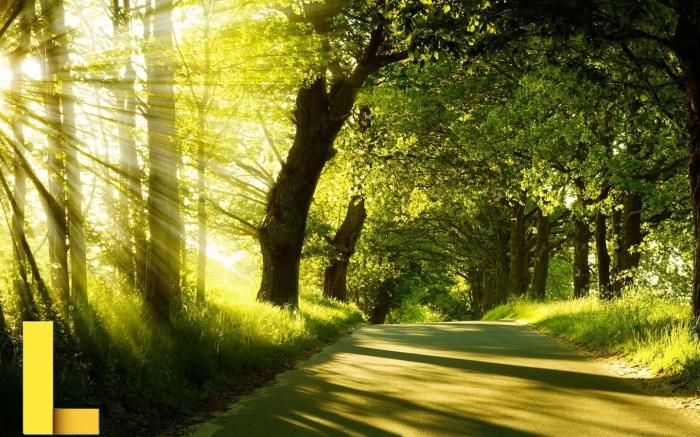 Summer recreation programs