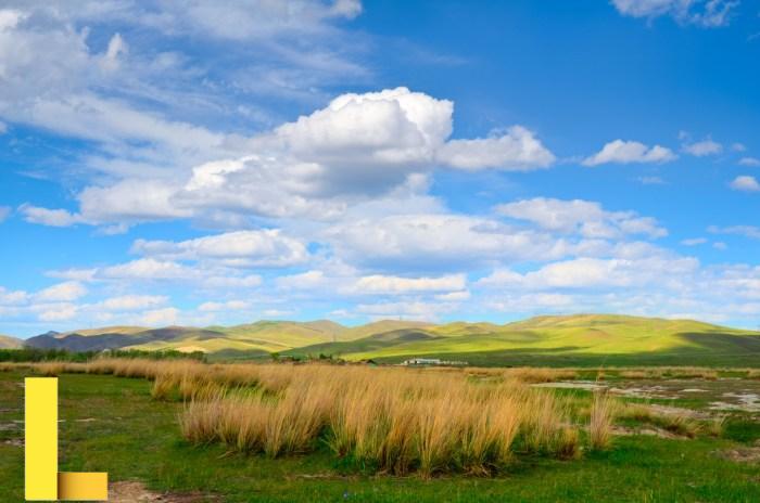 Summer Landscape Free Stock Photo - Public Domain Pictures