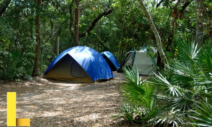 Recreational activities examples