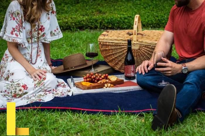 Pin by amy on pics | Picnic date, Picnic pictures, Picnic photo shoot