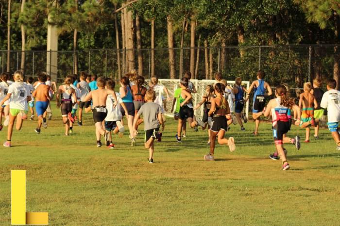 Barks and recreation seminole