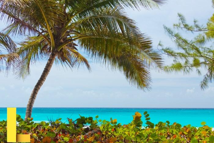 Tropical Beach Free Stock Photo - Public Domain Pictures
