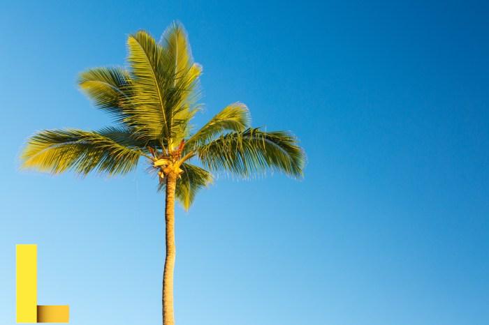 Palm springs parks and recreation