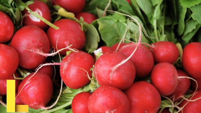 Growing vegetables at home six of the best