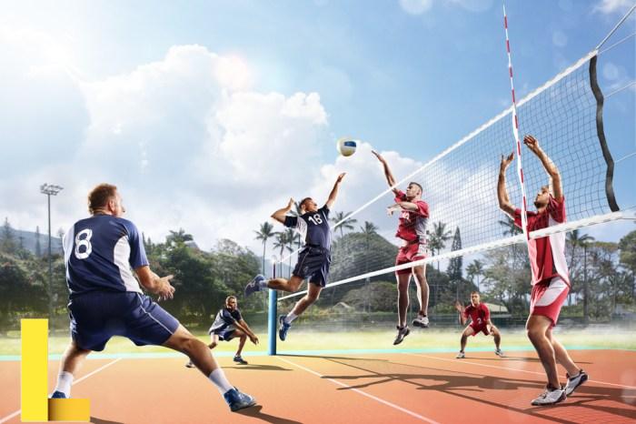 18+ Sports Volleyball