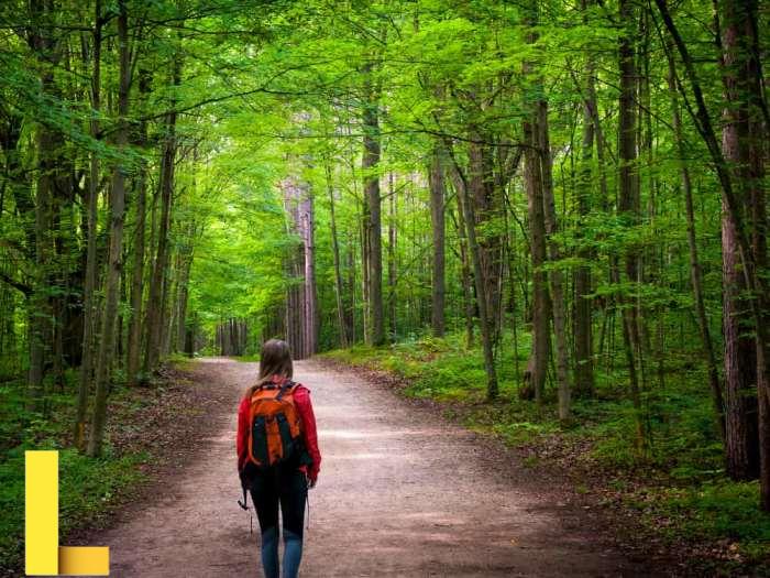 Activities You Can’t Miss Out On If You Love the Great Outdoors - Wide Info