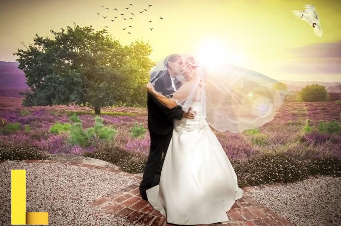 Wedding reception picnic