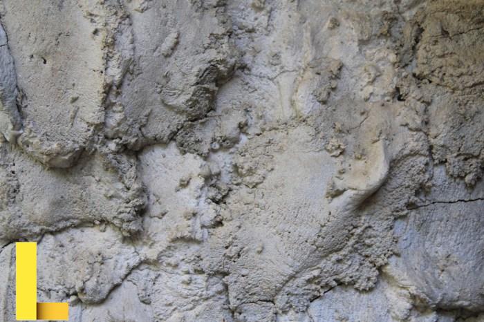 Free picture: stone, texture, concrete, pattern, wall, old, cement ...